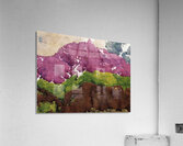 Augusto Giacometti 13 Acrylic Print