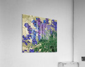 Augusto Giacometti 9 Acrylic Print