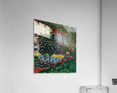 Augusto Giacometti 18 Acrylic Print