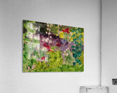 Augusto Giacometti 28 Acrylic Print