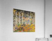 Augusto Giacometti 36 Acrylic Print