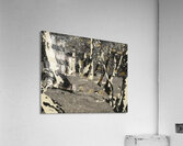 Augusto Giacometti 8 Acrylic Print