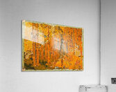 Augusto Giacometti 17 Acrylic Print