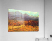 Granville Redmond 7 Acrylic Print