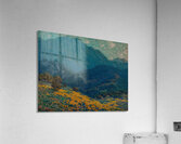 Granville Redmond 10 Acrylic Print