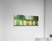 Granville Redmond 16 Acrylic Print