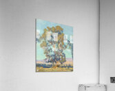 Alson Skinner Clark 18 Acrylic Print