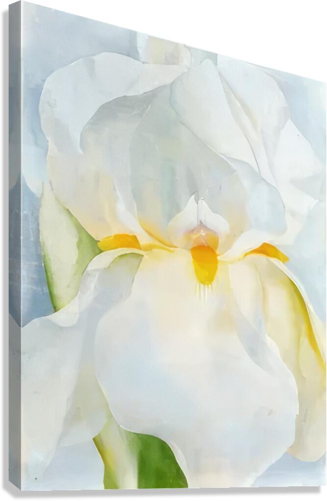 Georgia OKeeffe 62