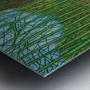 David Hockney 29 Metal print