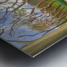 David Hockney Art Metal print