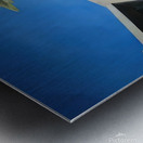 David Hockney 51 Metal print