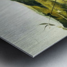 Blackberry Picker   Contemporary Realism - Andrew Wyeth Metal print