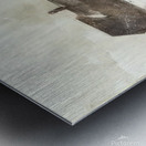 Andrew Wyeth Metal print