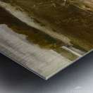 Andrew Wyeth Metal print