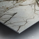 Andrew Wyeth Metal print