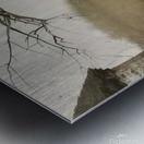 Andrew Wyeth Metal print