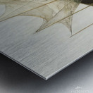 Andrew Wyeth Metal print