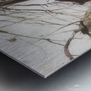 Andrew Wyeth Metal print