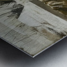 Andrew Wyeth Metal print