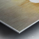 Andrew Wyeth Metal print