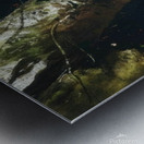 Walking Stick   Contemporary Realism - Andrew Wyeth Metal print