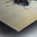 Wayne Thiebaud Metal print