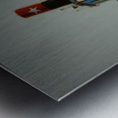 Wayne Thiebaud Metal print