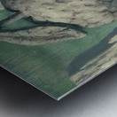 Rene Magritte Metal print