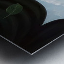 Rene Magritte Metal print