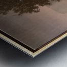 Rene Magritte Metal print