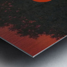 Rene Magritte Metal print