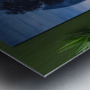 Rene Magritte Metal print