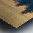 Rene Magritte Metal print