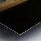 Rene Magritte Metal print