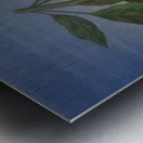 Rene Magritte Metal print