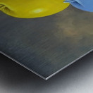 Rene Magritte Metal print