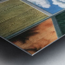 Rene Magritte Metal print