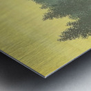 Rene Magritte Metal print