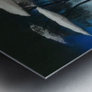 Rene Magritte Metal print