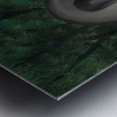 Rene Magritte Metal print