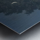 Rene Magritte Metal print