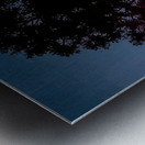 Rene Magritte Metal print