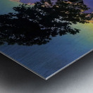 Maxfield Parrish 1 Metal print