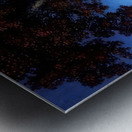 Maxfield Parrish 3 Metal print