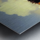 Maxfield Parrish 4 Metal print