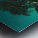 Maxfield Parrish 2 Metal print