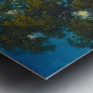 Maxfield Parrish 1 Metal print