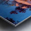 Maxfield Parrish 8 Metal print