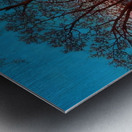 Maxfield Parrish 10 Metal print