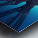 Maxfield Parrish 5 Metal print